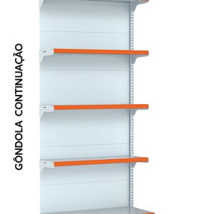 G0ND. FIT 40KG PAREDE C0NTINUACA0